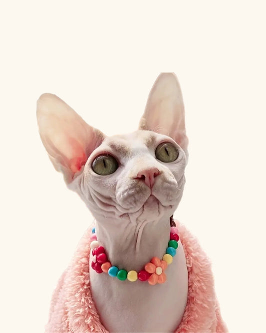 Wildflower Collar