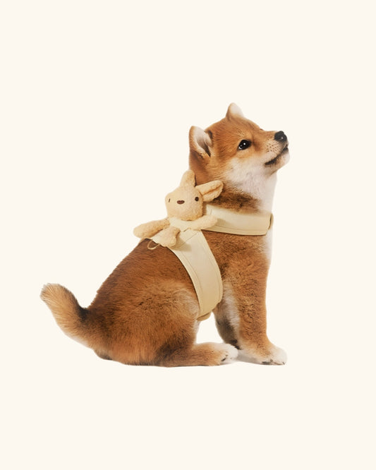 Haven & Hopper Harness